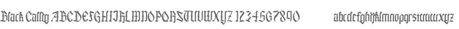 Black Callig