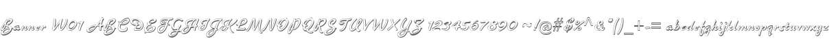 Banner W01