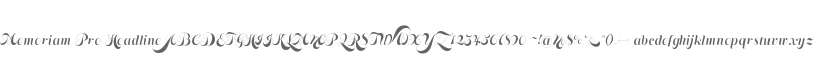 Memoriam Pro Headline