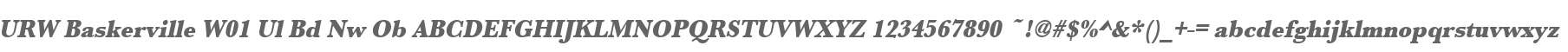 URW Baskerville W01 Ul Bd Nw Ob