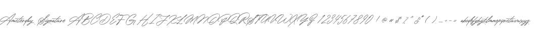 Amsterday Signature