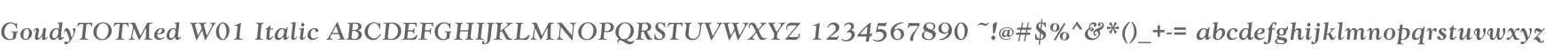 GoudyTOTMed W01 Italic