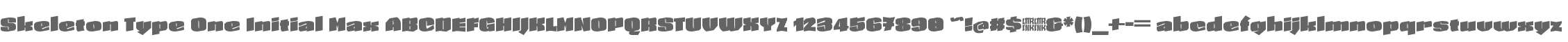 Skeleton Type One Initial Max