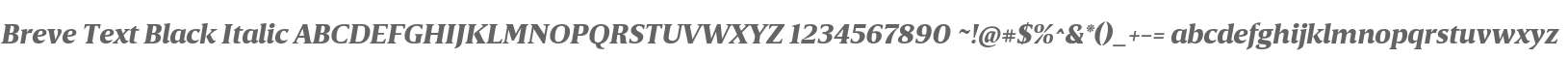 BreveText-BlackItalic