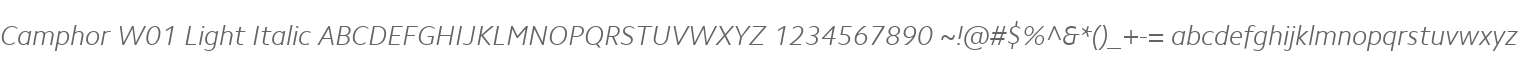 Camphor W01 Light Italic
