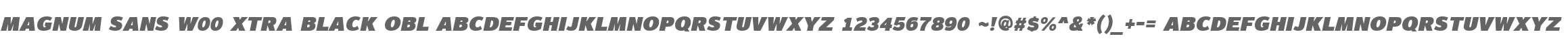 Magnum Sans W00 Xtra Black Obl