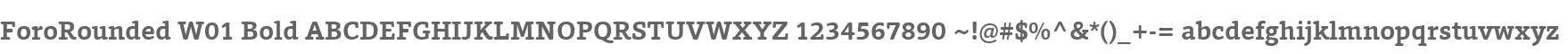 ForoRounded W01 Bold