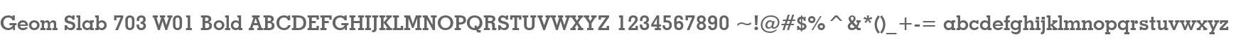 Geom Slab 703 W01 Bold