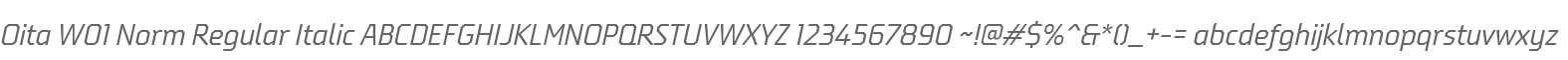 Oita W01 Norm Regular Italic