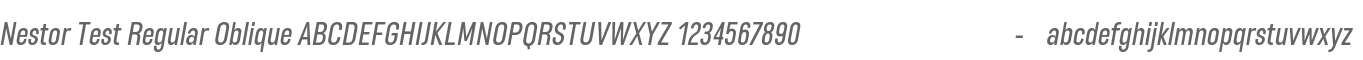 Nestor Test Oblique