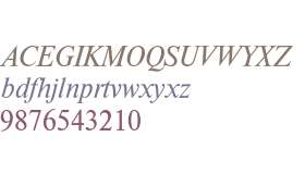 Times New Roman* MONOTYPE Math 1 Italic