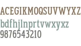 TBJ Goslap Light Cond Text