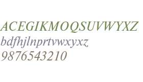 PT Newton Italic Cyrillic