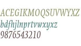 PF Centro Serif Comp