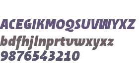 Suomi Sans W01 Black Italic