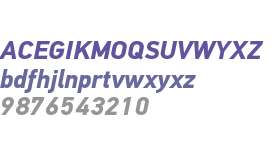 PF DinText W01 Bold Italic
