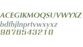 IrisUPC Bold Italic V2