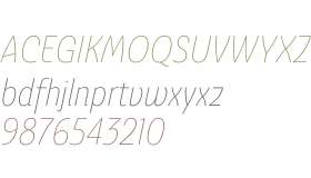 Ashemore W01 Cond Thin Italic