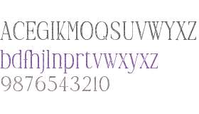 TC Brookleigh Arc Rough