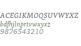 Ginkgo LT W04 Italic