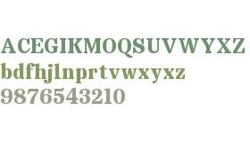 Copyright Bolditalic Studio Display