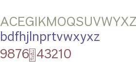 Era Grotesk Test