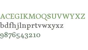 Dederon TRIAL Medium