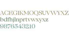 SFT Schrifted Serif TRIAL D D