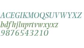 RosarioSSK Italic