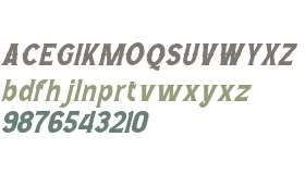 Wild Bandit Serif