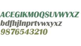 GrenobleSerial-Xbold-Italic