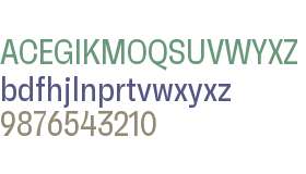 RB Faktum Neue Condensed Test