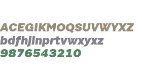 Sole Sans Extended Black