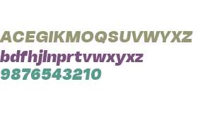 TurkeltonTwo Black Italic