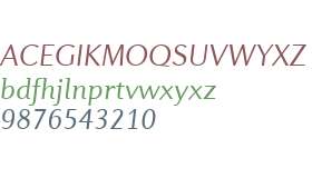 Diverda Sans W01 Light Italic