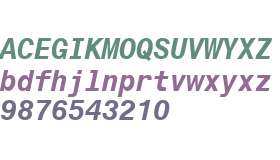 Monospace 821 W01 Bold Italic