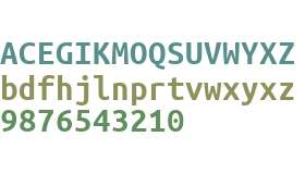 Ubuntu Mono Bold