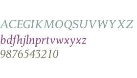 Octavian MT Italic