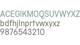 Blackbird Test Narrow