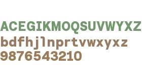 Roobert SemiMono TRIAL Heavy