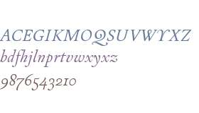 Test_Arlt Blanca Italica