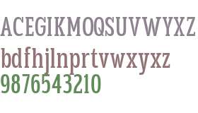 TBJ Goslap Light Cond Display