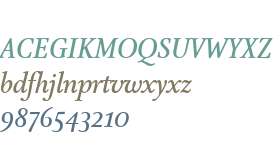 AtmaSerifWeb W03 MediumItalic