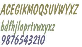 DonCasualCondensed Italic