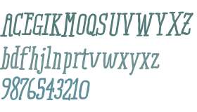 RidemyBike Serif W01 Bold It