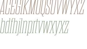 Dharma Slab M W03 Thin Italic