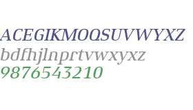 Xenois Serif W01 Medium Italic