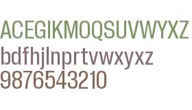 PP Neue Corp Narrow Medium