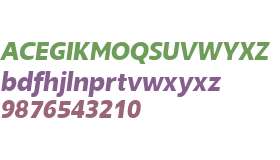 SlippyBold Italic W00 Regular