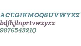 Madley Black Italic